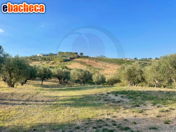 terreno agricolo in vendita a Lanciano in zona Re di Coppe