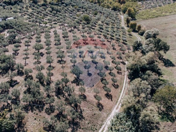 terreno agricolo in vendita a Lanciano