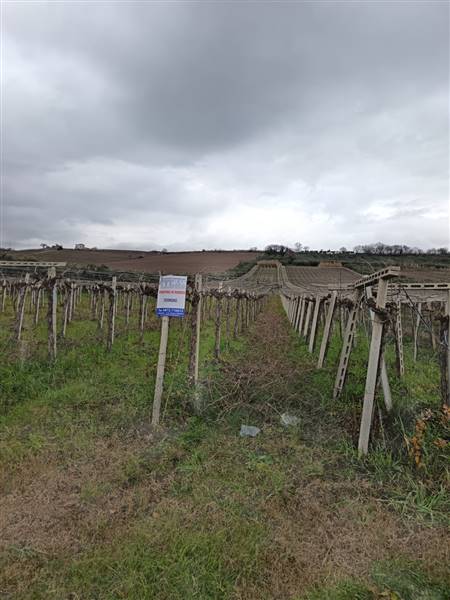 terreno agricolo in vendita a Lanciano