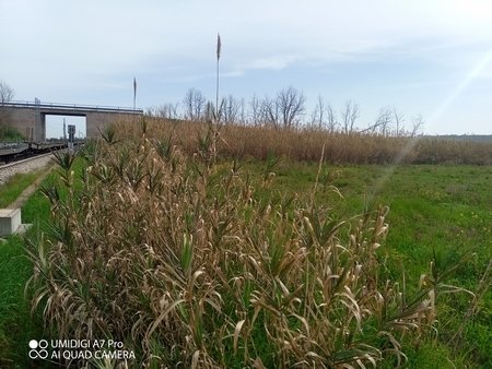 terreno agricolo in vendita a Lanciano