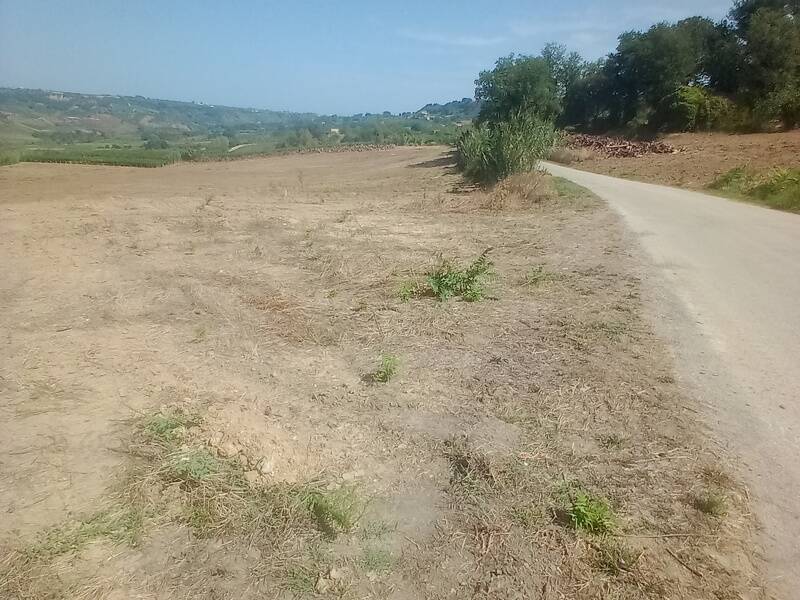 terreno agricolo in vendita a Lanciano