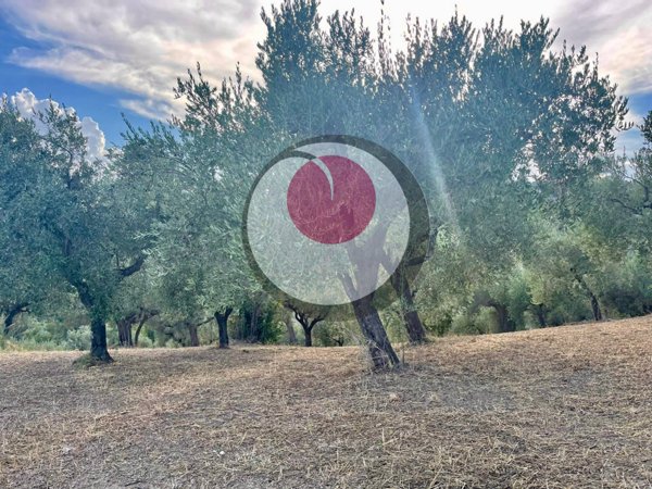 terreno agricolo in vendita a Lanciano in zona Camicie