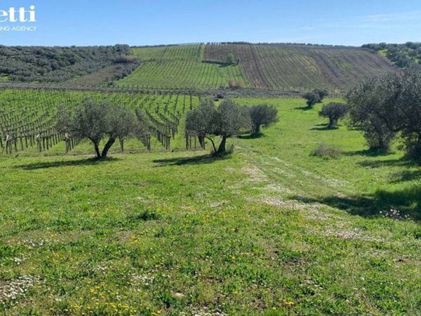 terreno agricolo in vendita a Lanciano in zona Serre