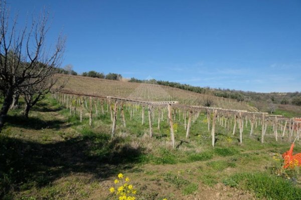 terreno agricolo in vendita a Lanciano in zona Santa Maria dei Mesi