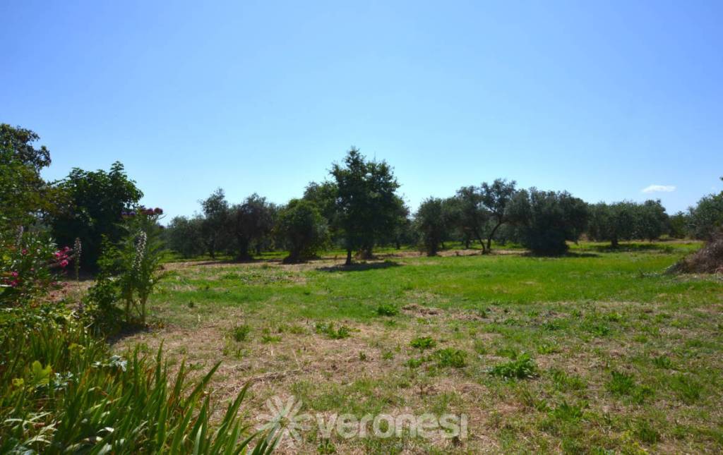 terreno agricolo in vendita a Lanciano