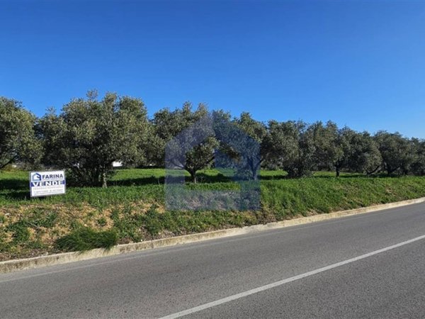 terreno agricolo in vendita a Lanciano