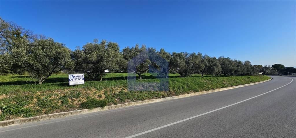 terreno agricolo in vendita a Lanciano