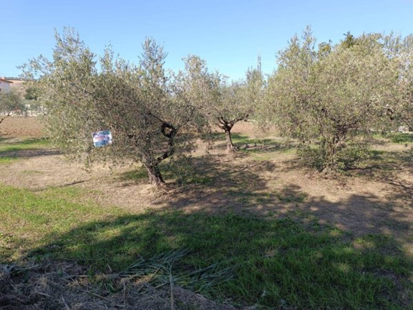 terreno agricolo in vendita a Lanciano in zona Sant'Onofrio