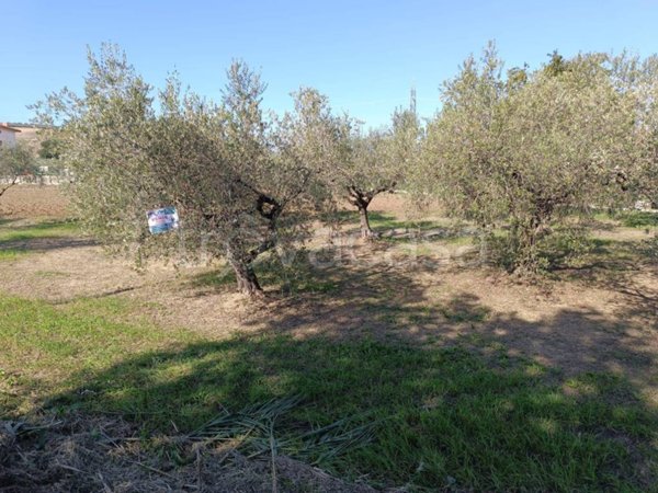 terreno agricolo in vendita a Lanciano in zona Sant'Onofrio