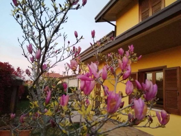 appartamento in vendita a Lanciano