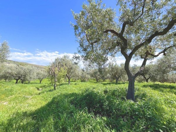 terreno agricolo in vendita a Lanciano in zona Camicie