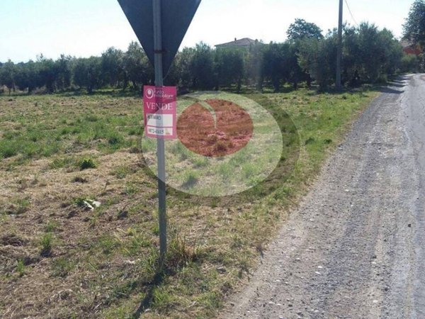 terreno agricolo in vendita a Lanciano
