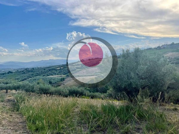 terreno agricolo in vendita a Lanciano in zona Camicie