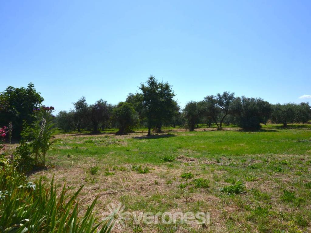 terreno agricolo in vendita a Lanciano