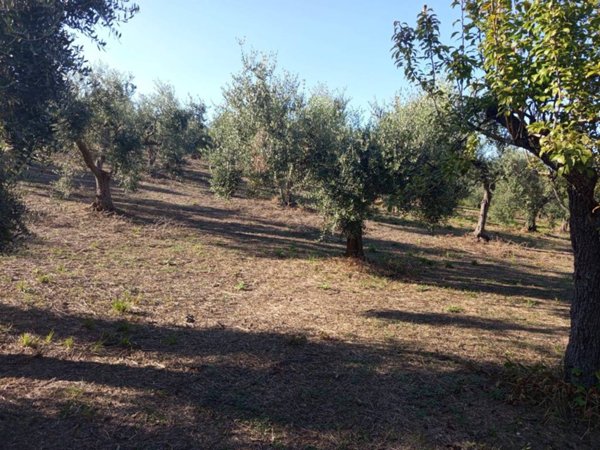 terreno agricolo in vendita a Lanciano