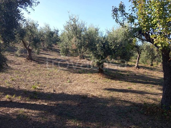 terreno agricolo in vendita a Lanciano