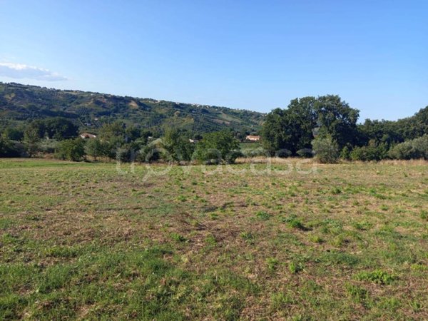 terreno agricolo in vendita a Lanciano
