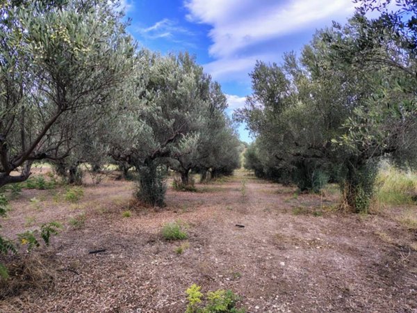 terreno agricolo in vendita a Lanciano in zona Sant'Onofrio