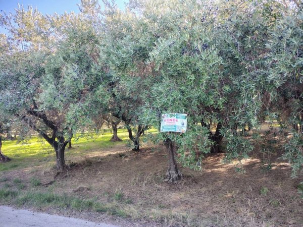 terreno agricolo in vendita a Lanciano in zona Sant'Onofrio