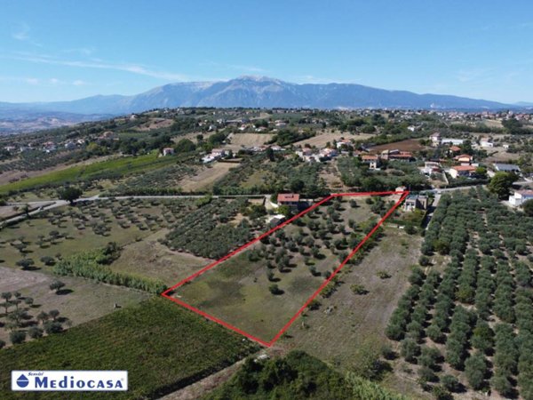 azienda agricola in vendita a Lanciano in zona Villa Andreoli