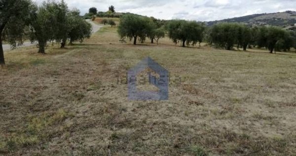 terreno agricolo in vendita a Lanciano in zona Colle Campitelli