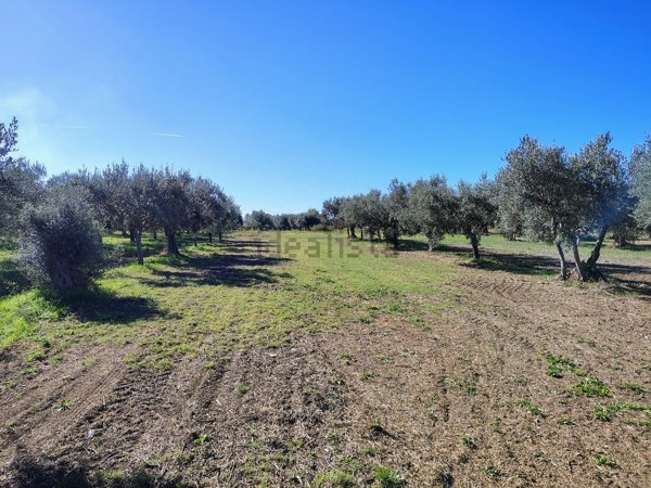 terreno agricolo in vendita a Lanciano in zona Sant'Onofrio