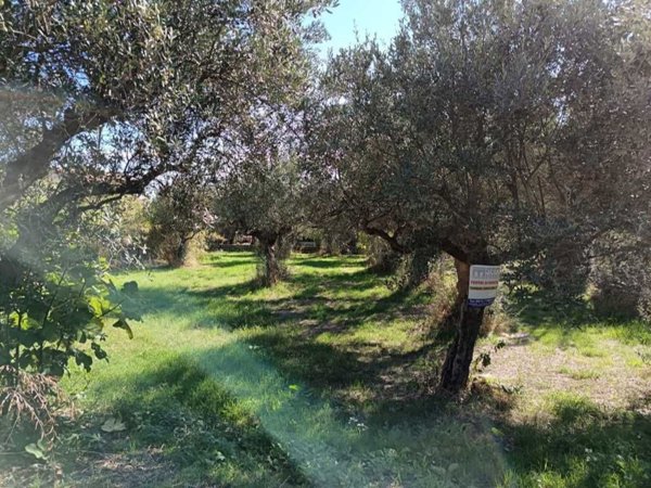 negozio in vendita a Lanciano