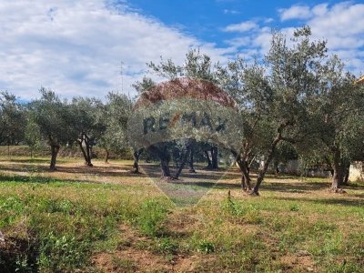 casa indipendente in vendita a Lanciano