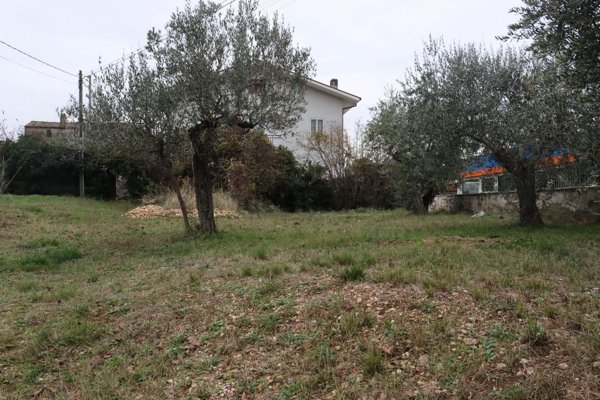 negozio in vendita a Lanciano