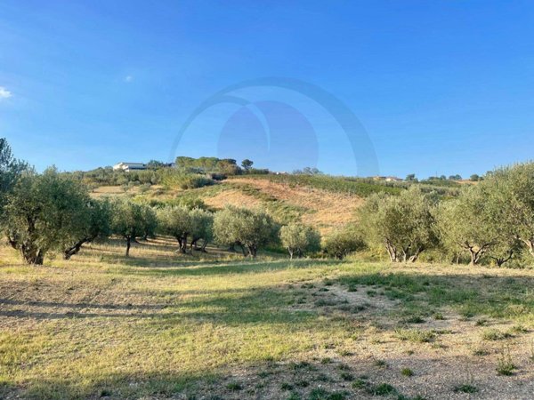 terreno agricolo in vendita a Lanciano in zona Re di Coppe