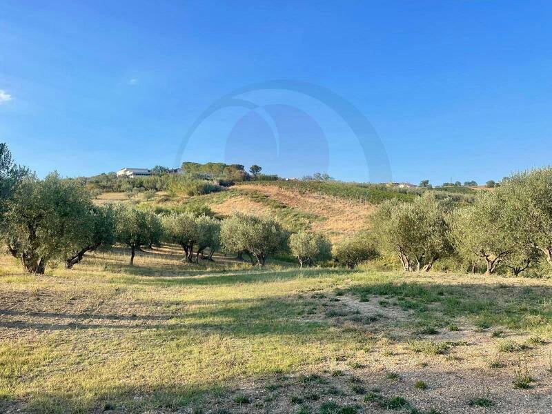 terreno agricolo in vendita a Lanciano in zona Sant'Egidio