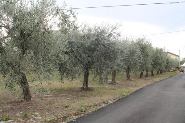 terreno agricolo in vendita a Lanciano in zona Santa Croce