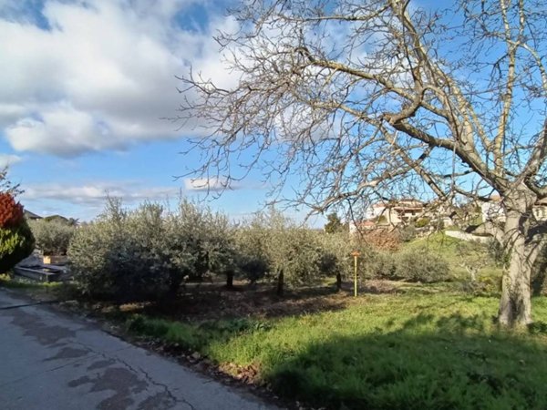 terreno agricolo in vendita a Lanciano in zona Marcianese