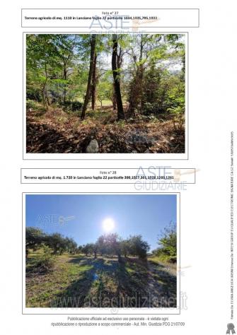 terreno agricolo in vendita a Lanciano