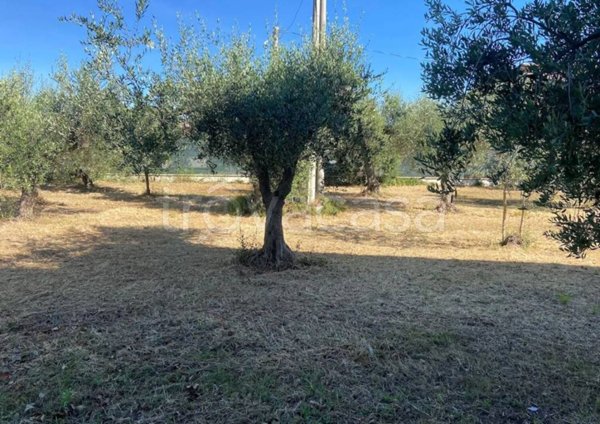 casa indipendente in vendita a Lanciano in zona Santa Croce