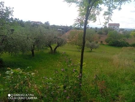 terreno agricolo in vendita a Lanciano in zona Marcianese