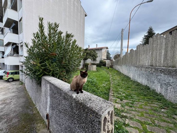 appartamento in vendita a Lanciano