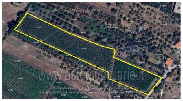 terreno agricolo in vendita a Lanciano