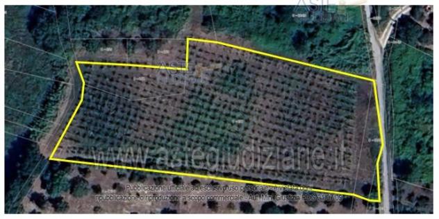 terreno agricolo in vendita a Lanciano