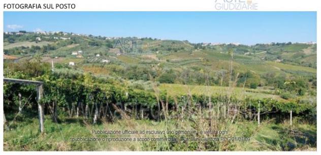terreno agricolo in vendita a Lanciano