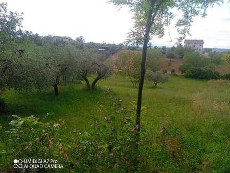 terreno agricolo in vendita a Lanciano in zona Marcianese