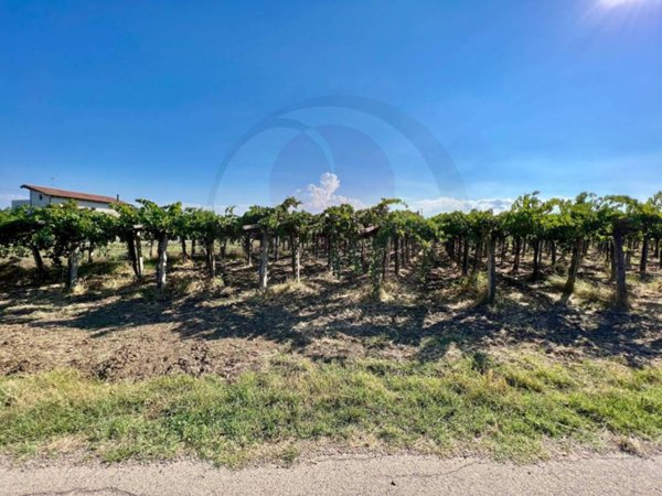 azienda agricola in vendita a Lanciano