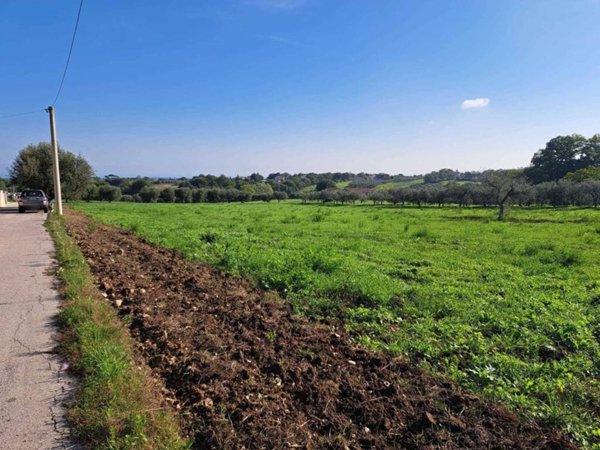 terreno agricolo in vendita a Lanciano in zona Follani