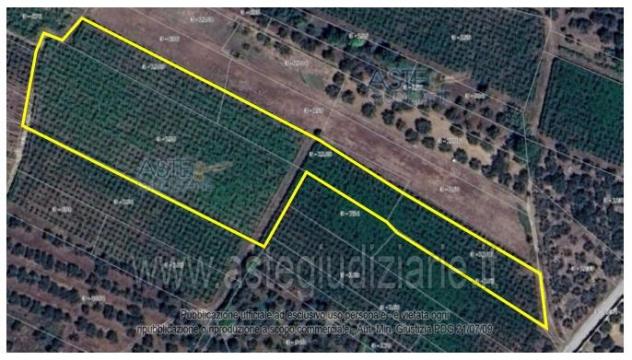 terreno agricolo in vendita a Lanciano