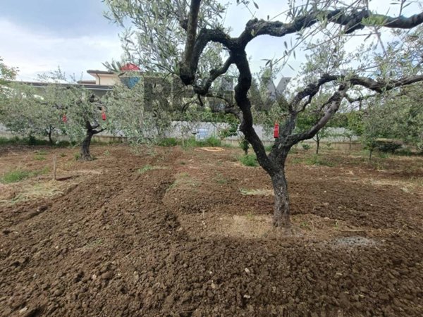 casa indipendente in vendita a Lanciano in zona Iconicella