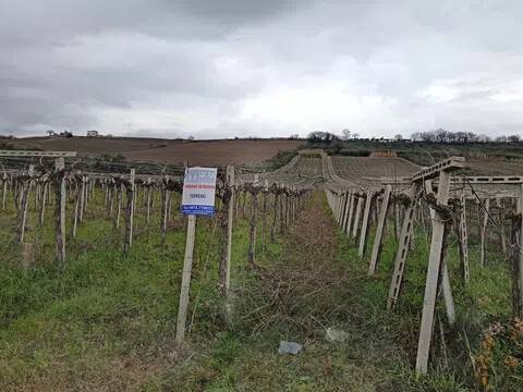 terreno agricolo in vendita a Lanciano in zona Re di Coppe