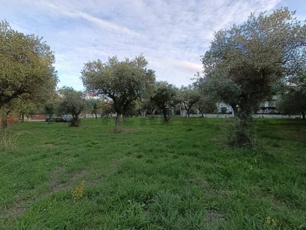 terreno agricolo in vendita a Lanciano in zona Santa Croce