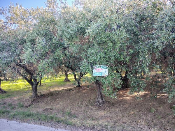 terreno agricolo in vendita a Lanciano in zona Sant'Onofrio