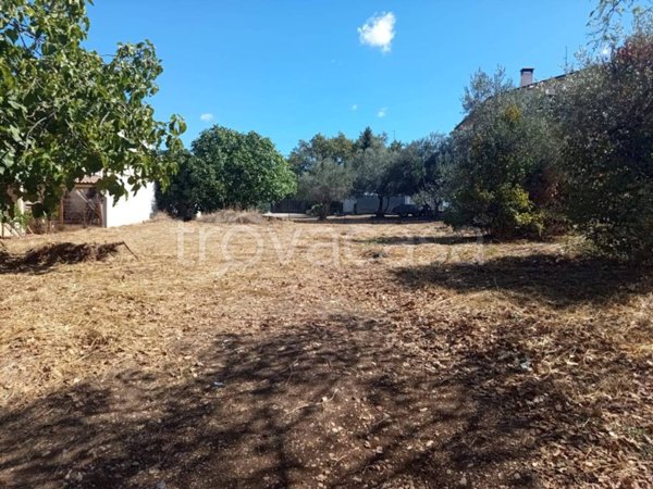 terreno agricolo in vendita a Lanciano in zona Marcianese
