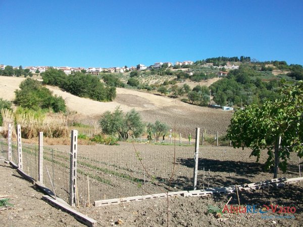 terreno agricolo in vendita a Lentella